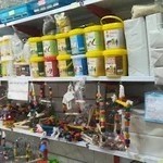 دهکده قناری