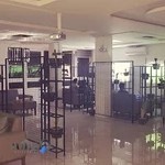 گیم نت کاکتوس