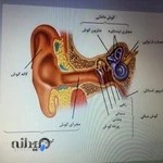 کلینیک آوای شریعتی - سمعک آوای شریعتی - کلینیک شنوایی