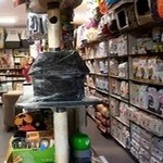 بیمارستان دامپزشکی ستتیا