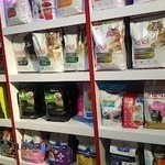 پت شاپ آنلاین کارن