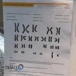 کلینیک اطفال ارمغان