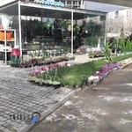 گل فروشی پاسداران