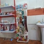 کلینیک دامپزشکی و پت‌شاپ دکتر باروتی