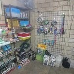 کلینیک دامپزشکی دکتر گودرزی