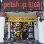 پت شاپ لوکا Petshop luca