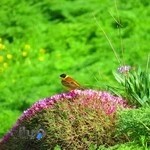 دفتر ازدواج 399 وطلاق80 تهران کفیل دفتر ازدواج114تهران