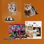 پت شاپ ولنجک