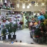 گل فروشی گل طلایی