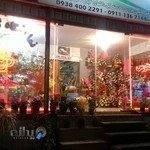 گلفروشی کاکتوس