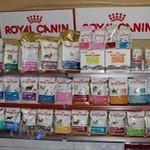 پت شاپ سفارش تلفنی