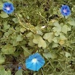 اتاق فرار آدرنالین