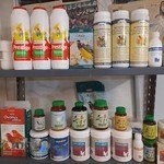 پرورش قناری معین حسینی