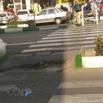 تهیه و پخش غذای امیر مهدی