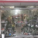 گل طلای سبز