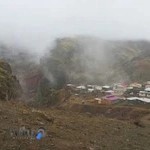 دکترفریبا الماسی