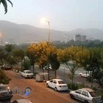 مرکز بهداشت المپیک