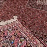 قالیشویی دریانی