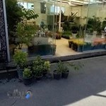 بازار گل شهید بابایی