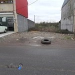 موسسه وانت بار سبحان