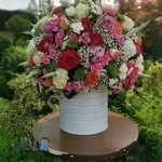 گل پارادایس