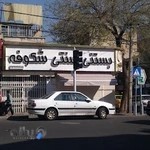 بستنی شکوفه