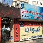 موسسه زبان ژیوان