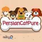 پت شاپ پرشین کت