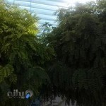 استخر روباز دهکده آفتاب