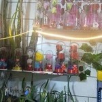 گل فروشی شقایق