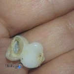 دندان‌پزشکی سپیدجامگان