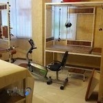 فیزیوتراپی هاوین