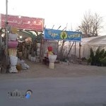 گلخانه کاکتوس سورنا اصفهان