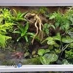 گالری طراحان طبیعت (داروگ)