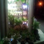 گل و گیاه محمدزاده