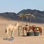 مسافرتی سفرهای رادینا