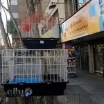 پت شاپ سزارکندی پت فود