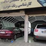 تشخیص رنگ خودرو بهاری باقرشهر