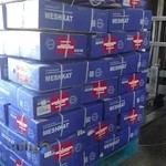 دفتر مرکزی شرکت مشکات نور استوار