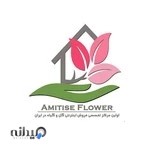 فروشگاه گل و گیاه آمیتیس