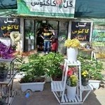 نمایشگاه گل و کاکتوس آبتاب