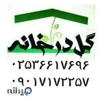 گل در خانه