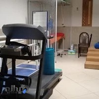 فیزیوتراپی آرین