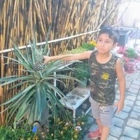 گل وگیاه سون