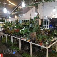 گلخانه ولیعصر (عج)