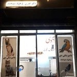 کلینیک دامپزشکی دی