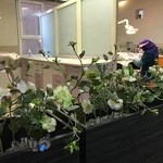 دکتر مهشید صفارپور