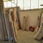 قالیشویی تابان