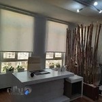 دکتر شقایق برزگر