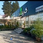 فروشگاه گل و گیاه گرینلند